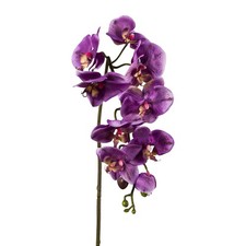 Kunstblume Phalenopsis
