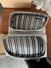 BMW Kühlergrill Nieren M2 F87 Doppelsteg