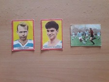1x aussuchen Sicker MSV