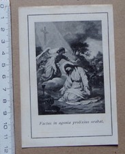 § Bild fromm factus in agonia