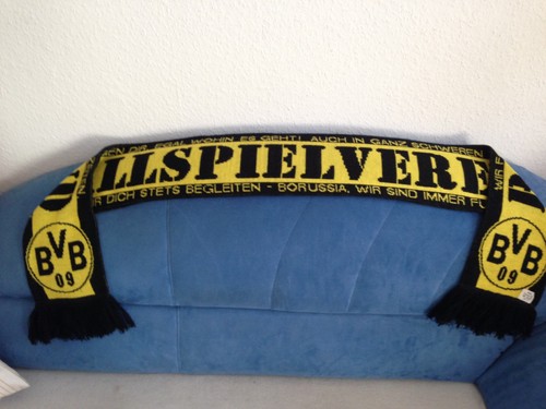 Bvb borussia dortmund fan - borussia,