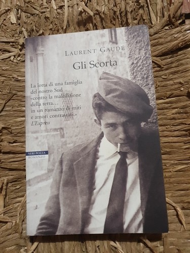 Die vorräte laurent gaudé - die,