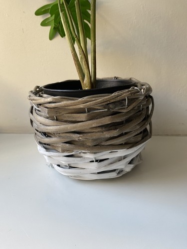 Holz rattan pflanz - holz, Übertopf