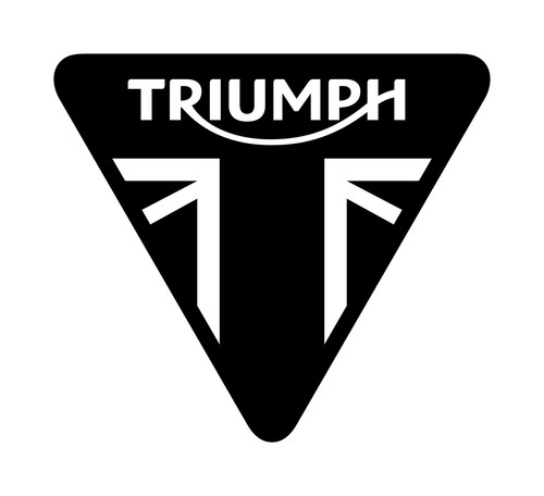 Triumph bremsbelag tt2172 - bremsbelag,,