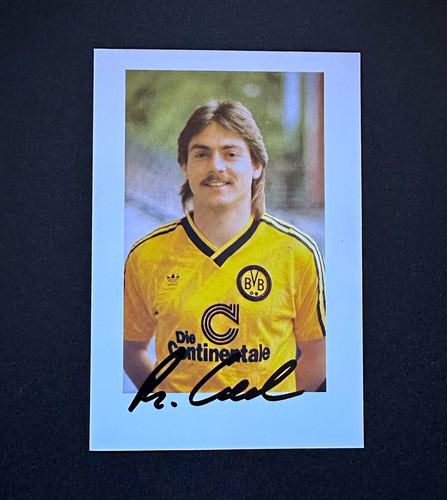 Borussia dortmund bvb - borussia,