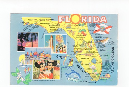 Ansichtskarte florida usa - /,