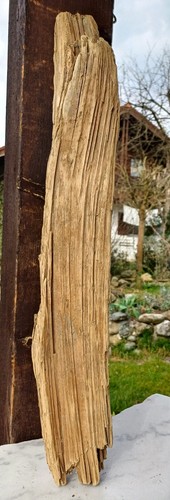 Schön geformtes treibholz - schön, treibholz/