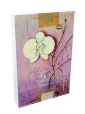 Bild Orchidee violett |