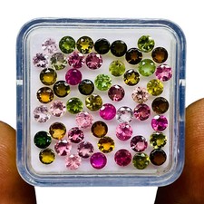 50 Stück Natürlich Multi