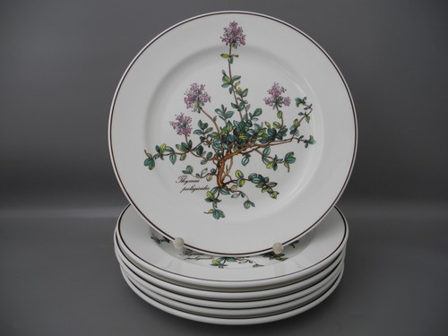 Villeroy boch 6 kuchenteller - boch,