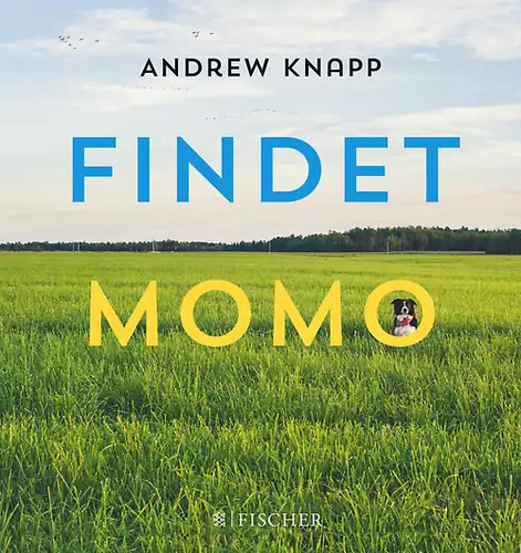 Findet momo - findet,