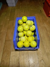 33 Gelbe Pinnacle Gold