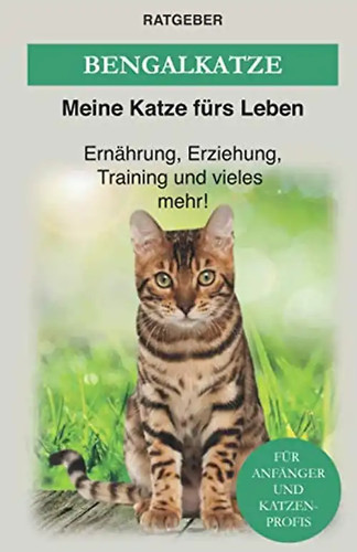 Bengal katze das - bengal, bengalkatzen