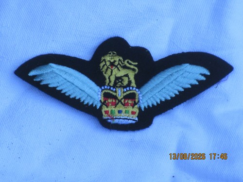 Pilotenschwinge farbig - pilotenschwinge,,