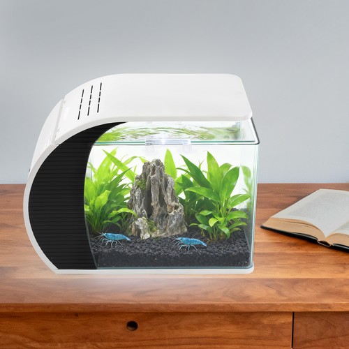 Kleines glas aquarium - kleines, glas-aquarium