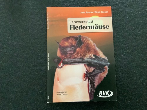 Lernwerkstatt fledermäuse - lernwerkstatt,