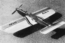 Bauplan Robin Modellbauplan