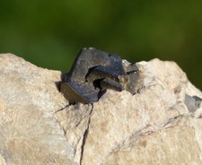 Arsenopyrit 71 Gramm -