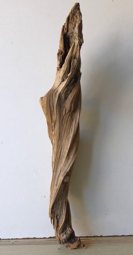 Treibholz schwemmholz - treibholz,