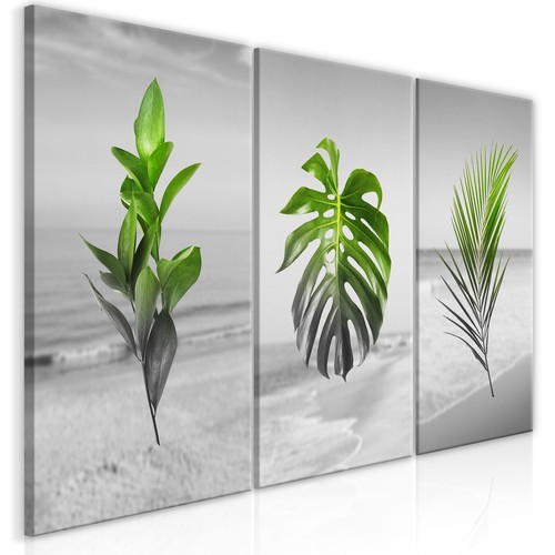 Pflanzen blätter natur - pflanzen,