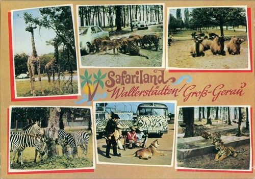Ansichtskarte safariland - ansichtskarte,