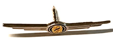Chrysler Logo Pin (H28)