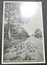 RAR  seltene AK  alter Zeit in