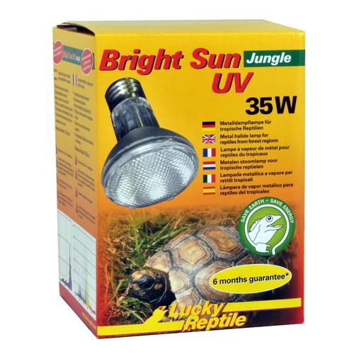 Lucky reptile bright - sun, uv