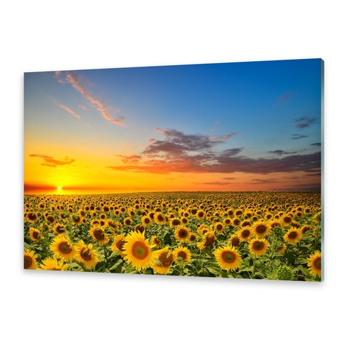 Glasbilder wandbild druck auf - druck,
