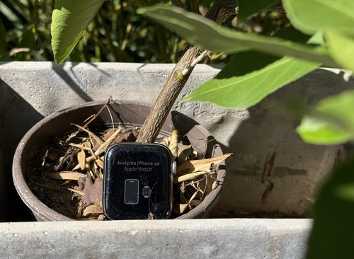 Apple watch series 44 - apple, 4