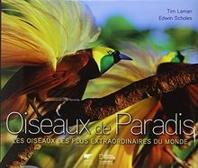 Oiseaux paradis les - :,