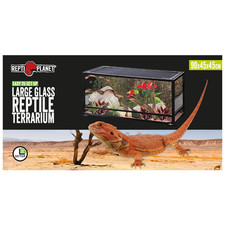 ReptiPlanet Collapsible