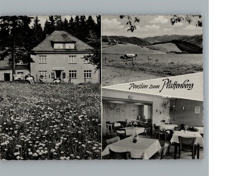 Hoppecke pension zum - hoppecke,