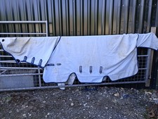 7'3 Rambo Vamoose Sweet Itch