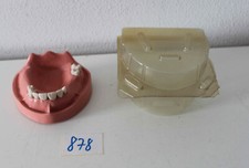 Kavo schaumodell - kavo,