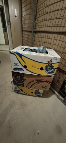 Bananenkisten kostenlos - 3,