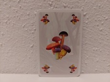 Candamir - Die ersten Siedler