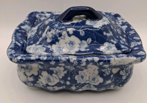 Antike englische victoria ware - antike,