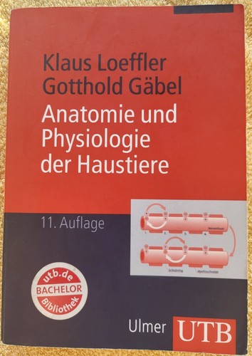 Anatomie und physiologie der - anatomie,