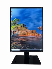 Eizo Radiforce RX360