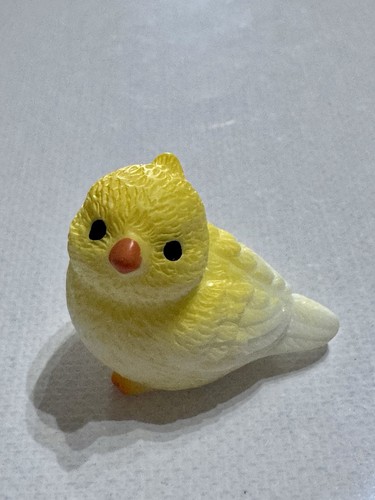 Papagei vogel mini - mini, garten