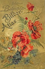 Hoffmann Carl Hoffmann’s