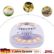 12 Eier Inkubator