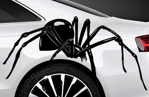 Spider spinnen - 2x,