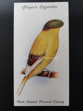 nr. 2 dunkel verziert Norwich