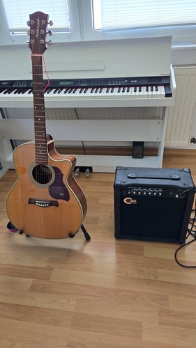Akustik neuwertige - g-65, akustik,