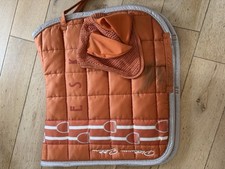 Eskadron Dressurschabracke DL  und Fliegenohren Platinum Kollektion SS19