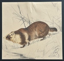 Marderhund von Johannes