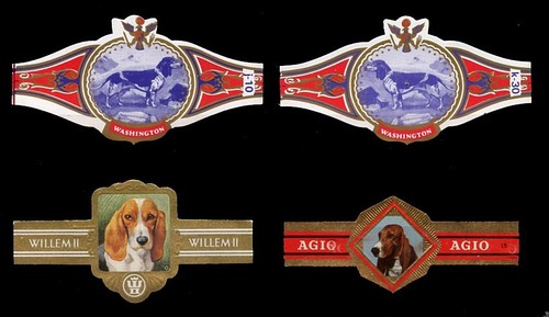 Basset hound dog dutch - basset,