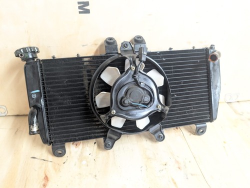 Top triumph daytona - triumph,